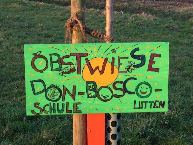 Schulobstwiese der Don-Bosco-Schule Lutten
