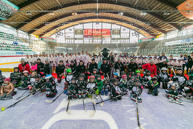 Starbulls Rosenheim e. V.