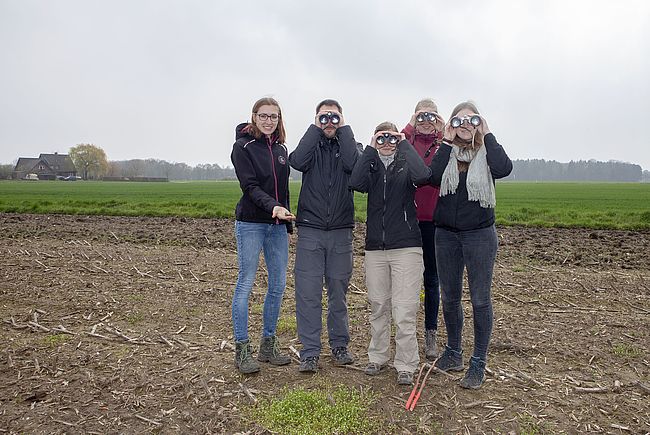 Kiebitzschutz im Kreis Warendorf