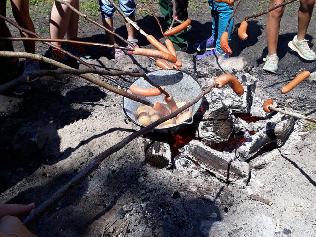 Wir machen den Wald begreifbar