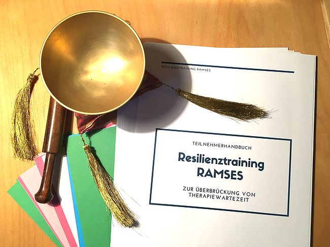 die erfahrungsexpert*innen