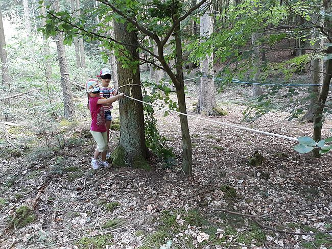 Wir machen den Wald begreifbar