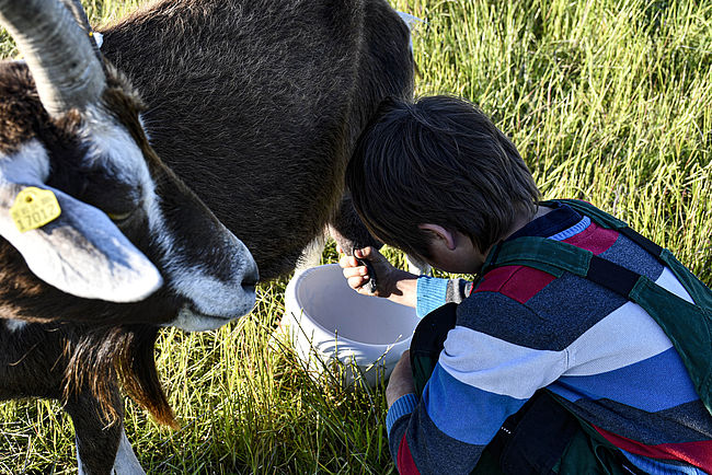Ein tierisch-lehrreicher Bauernhof