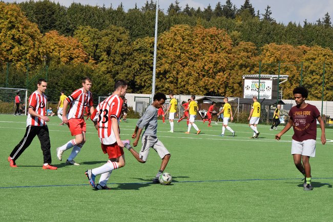 VFC Plauen e. V.