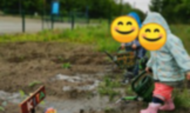 Engagement macht Schule - Gemüsekiste