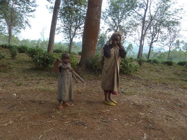 Hand in Hand - mit Straßenkindern aus Bukavu voneinander und füreinander lernen