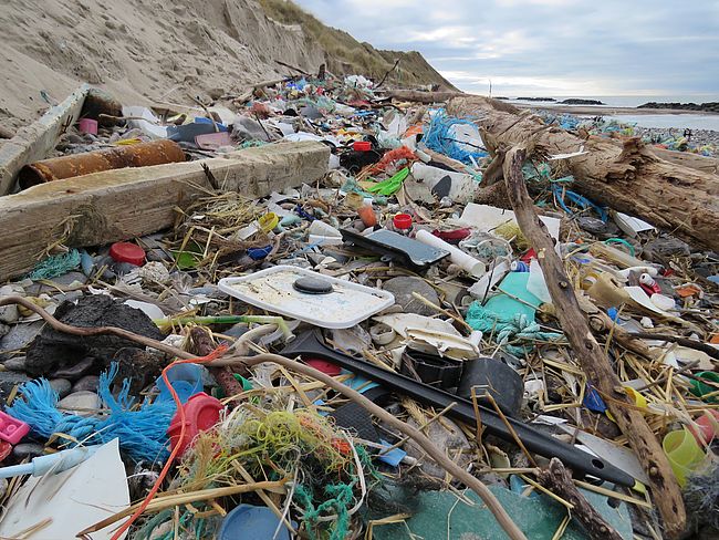 Küste gegen Plastik e. V. / Jennifer Timrott