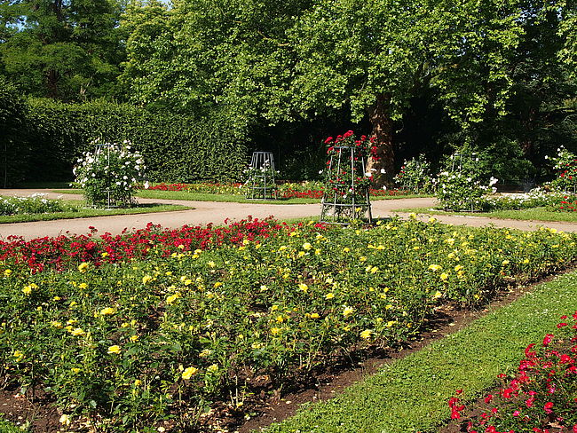 Rosengartenteam im Klettenbergpark