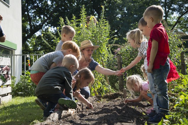 GemüseAckerdemie: Für eine Generation, die weiß was sie isst