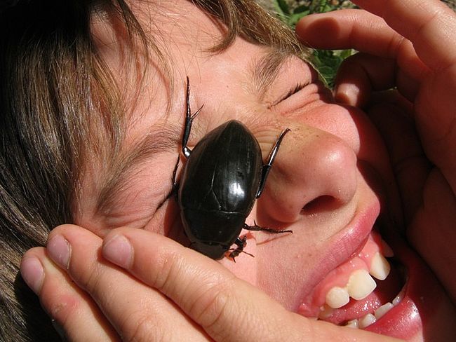 Natur schafft Wissen gGmbH