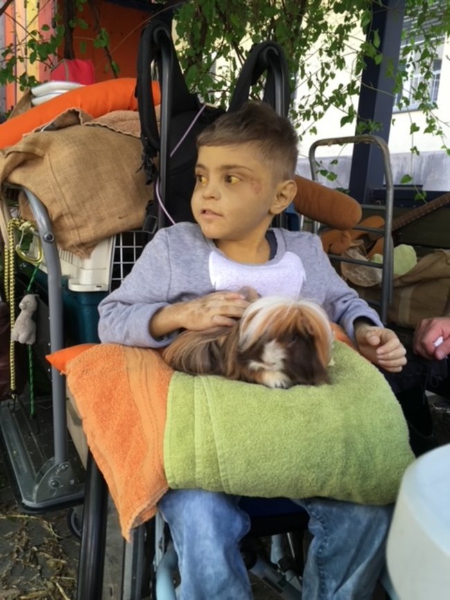Tiergestützte Intervention mit Haus-und Hoftieren im v. Haunerschen Kinderspital