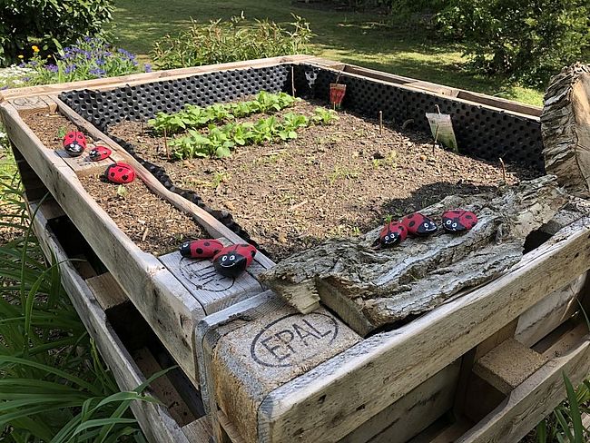 Alzheimer Gesellschaft Sachsen-Anhalt e. V.