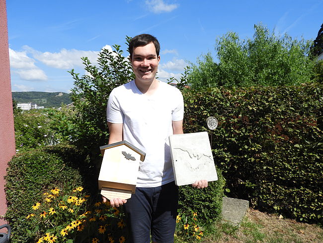 Julian Kehm, Die Alpenfledermaus in Lörrach - Eine Folge des Klimawandels?
