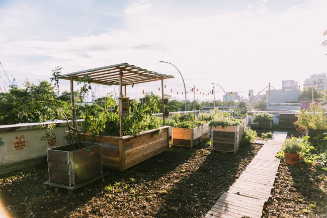 Green Pauli by STADTGEMÜSE