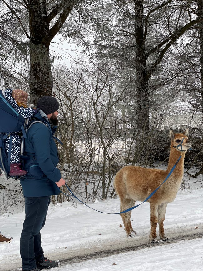 Väterprojekt: Schutzengel für Familien in Not