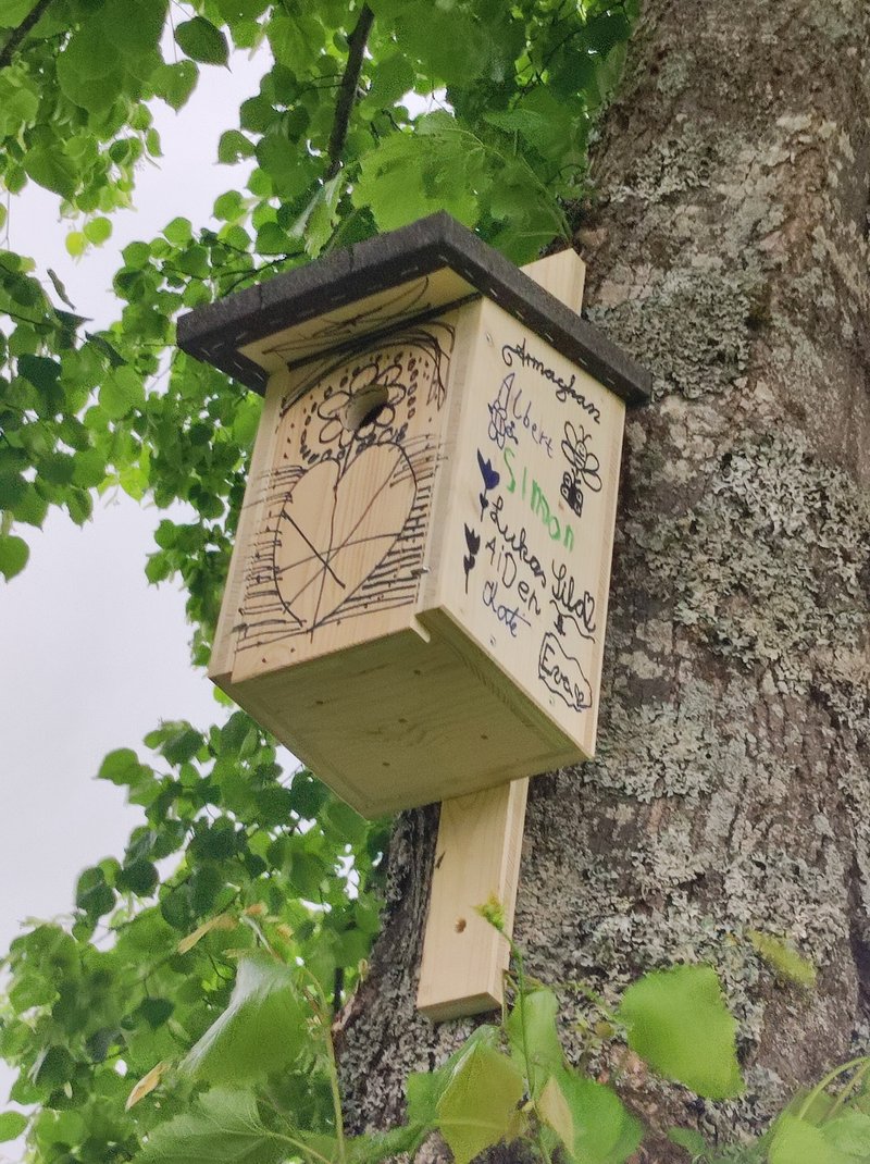 Beschriebener Vogelnistkasten an einem Baum hängend