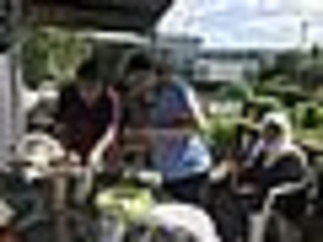 Interkultureller Frauengarten der Zukunftswerkstatt Saar e.V.