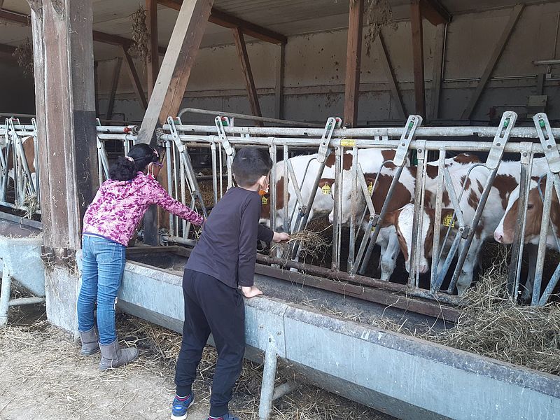 Die Kinder lernen unterschiedliche Formen der Tierhaltung auf dem Bauernhof