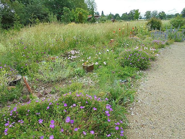 Obst- und Gartenbauverein Petersaurach