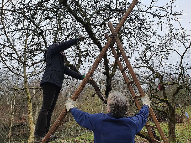 Auch im Winter gibt es mit der Baumpflege genug zu tun