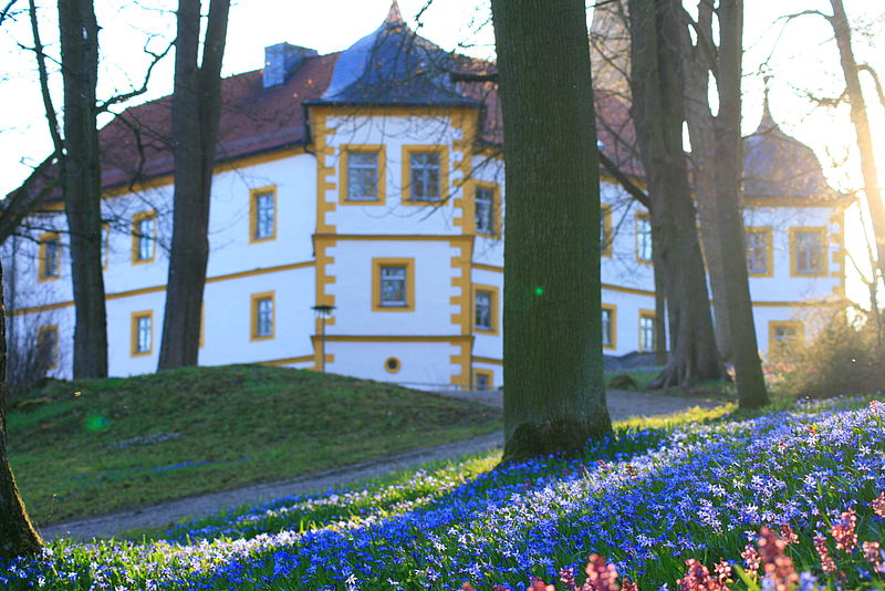 Frühlingsboten