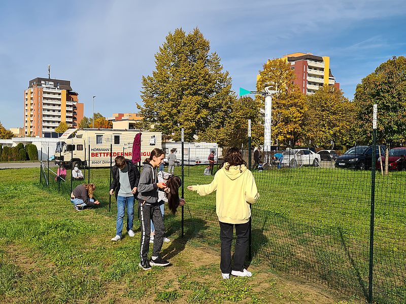 Einsatz Zaunbau