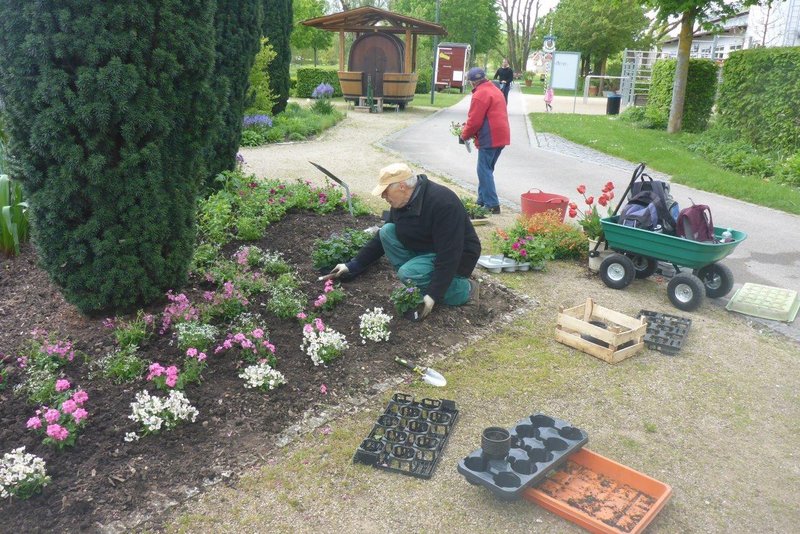Menschen bepflanzen ein Blumenbeet