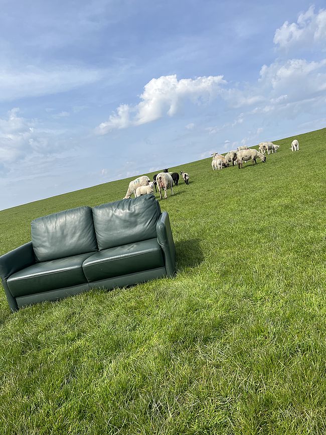 Das Grüne Sofa