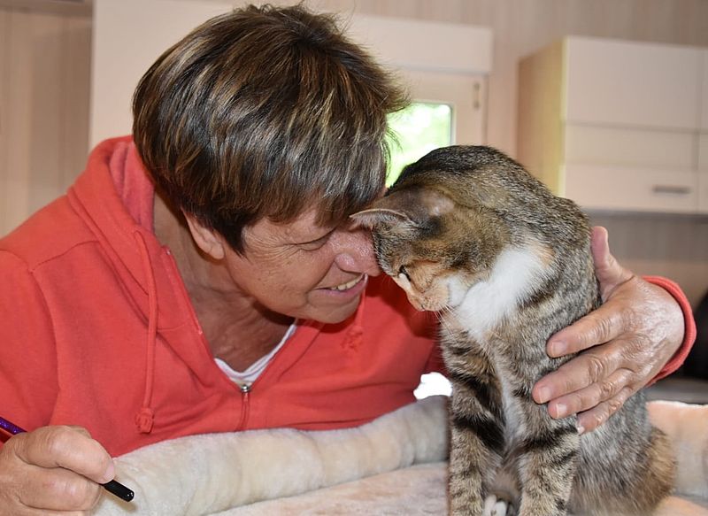 Andrea Brezina, die sich neben vielem Anderen um die Katzen kümmert