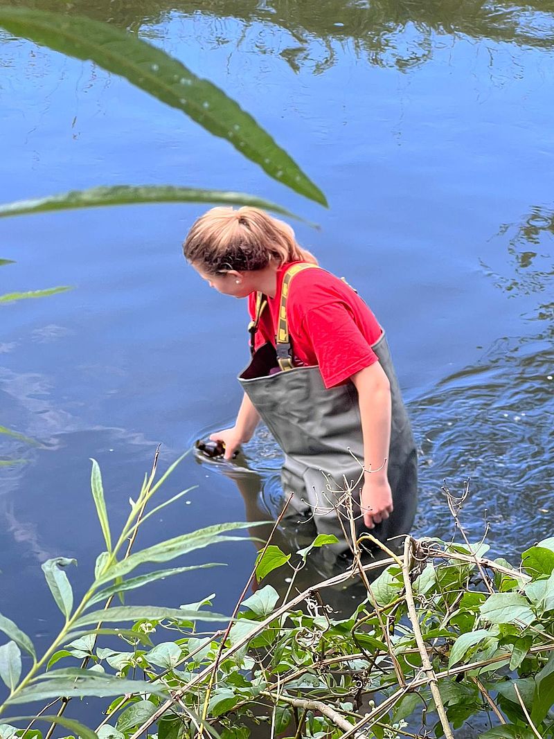 Die Wasserproben werden nach dem Kläranlagenauslauf genommen 