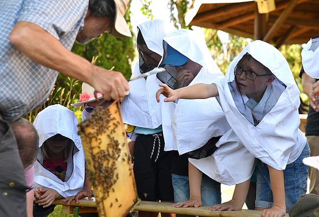 AWO-Quartiersprojekt Ottweiler "Kennst Du Deine Nachbarn?"