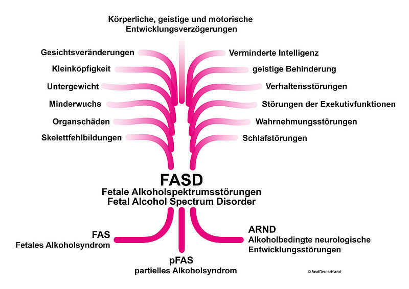 Der Baum zeigt die Diagnose und die Auswirkungen der vorgeburtlichen Alkoholexposition