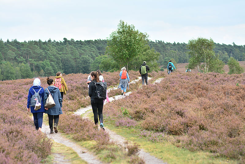 Bei vielfältigen Outdoor-Aktivitäten zusammen die Natur entdecken.
