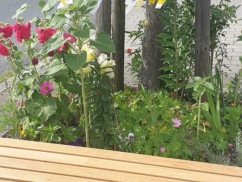 gemeinsam sind wir Gut