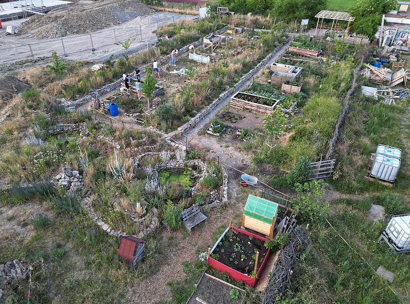 Biodiversitätszone, Ertragszone, Studierende beim Gärtnern