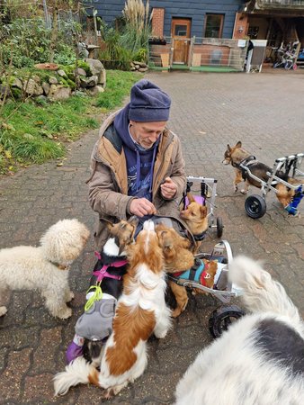 Rollihunde im Einsatz
