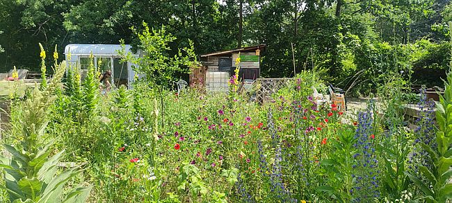 Strieskanne von UFER-Projekte Dresden e. V.