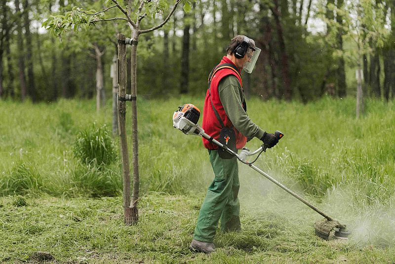 Mitstreiter mäht das Gras unter den Obstbäumen