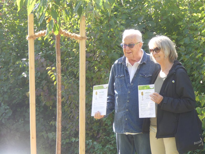 Vor einem neu gepflanzten Baum im Projekt 1000 Buchen zeigen ein Baumpate und eine Baumpatin ihre Urkunden
