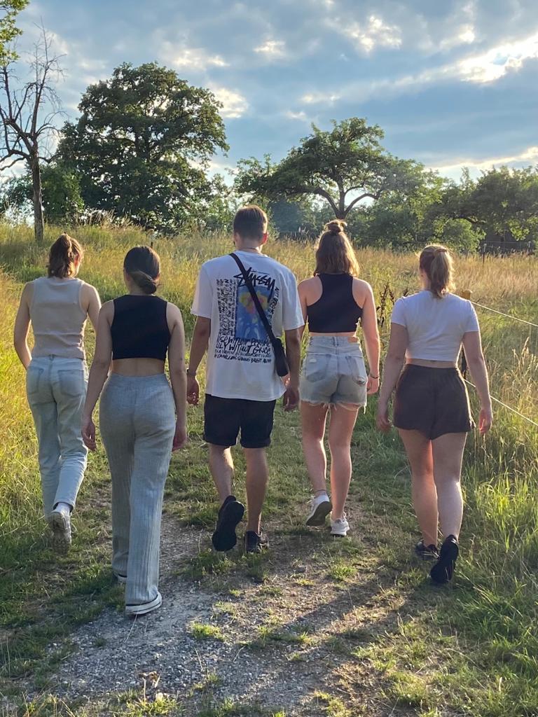 Fünf Personen laufen über einen Weg neben einem Feld. Sie sind von hinten zu sehen.